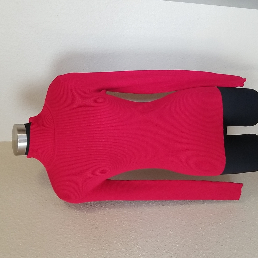 Planet Gold Red Turtleneck Ribbed Sweater